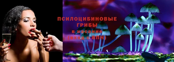 PSILOCYBIN Приозерск