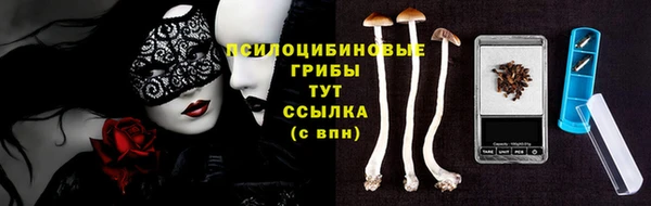 альфа пвп Пролетарск