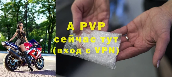 PSILOCYBIN Приозерск