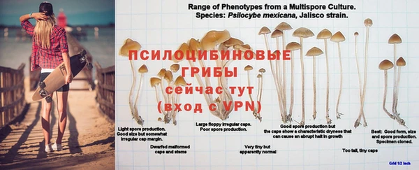 альфа пвп Пролетарск